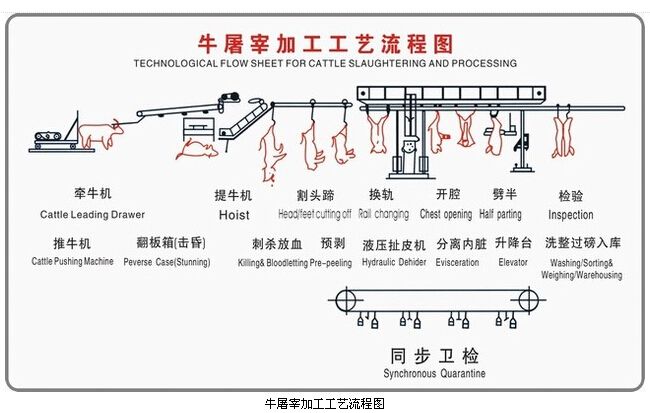 牛屠宰加工工艺流程图
