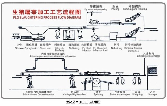 生猪屠宰加工工艺流程图